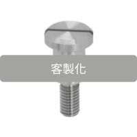 客製化支撐用軸頸螺絲 精密支撐/穩定導向/低摩擦運轉/高剛性設計/依圖客製加工/材質鋼/不鏽鋼/耐磨耐用/多款表面處理可選擇